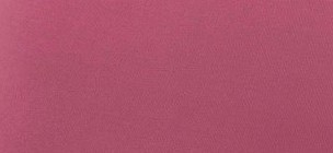 Peony 2179