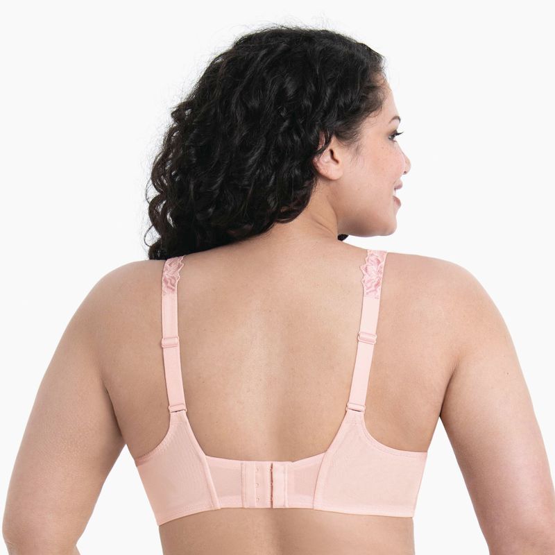 Rosa faia 5253 F-J Suzette Wild Rose 128