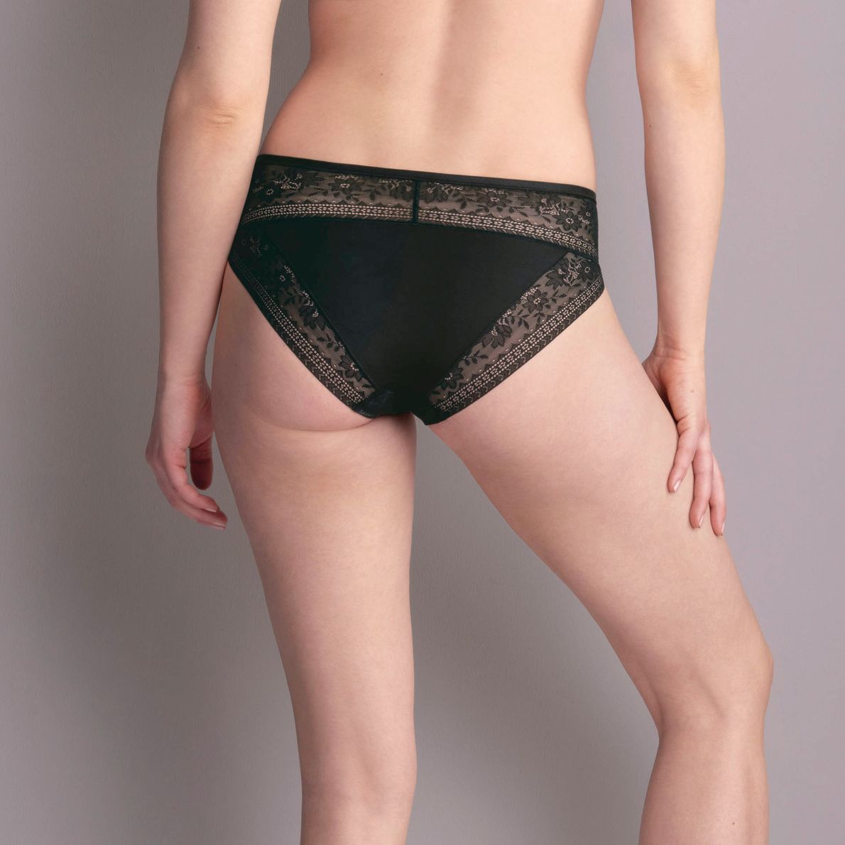 Rosa Faia 1385 Rosemary Black