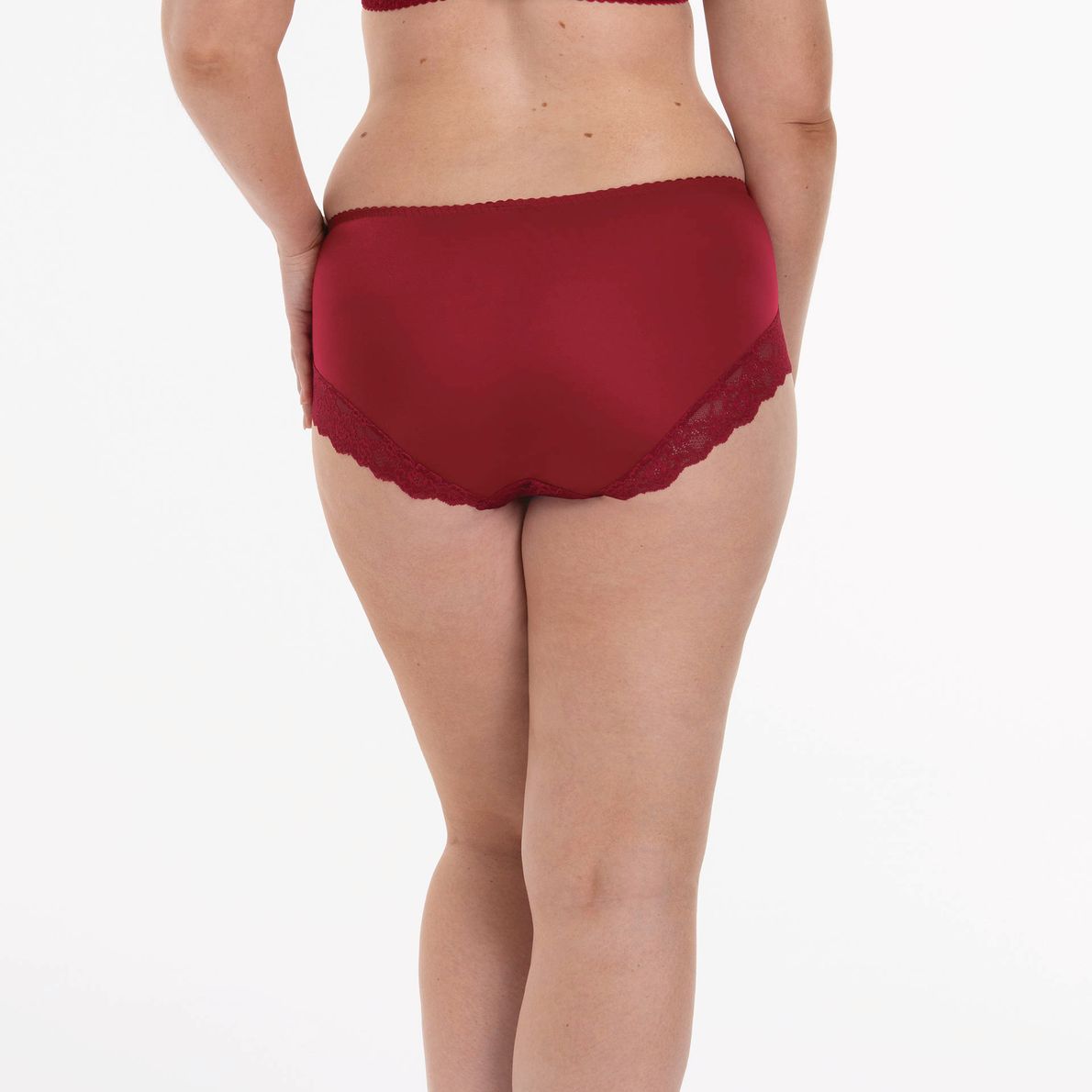Rosa Faia 1389 Bobette Ruby 528