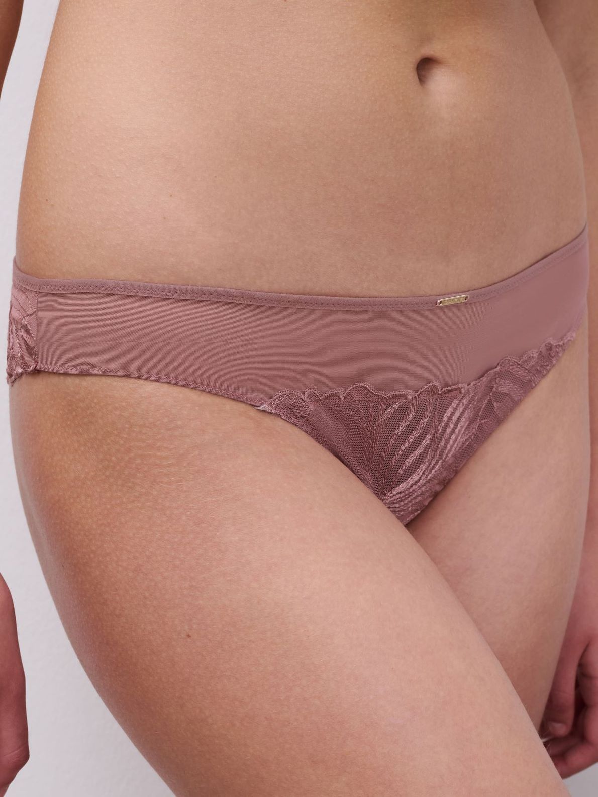 C15Yg0 Legend Rose Des Bois 0R4