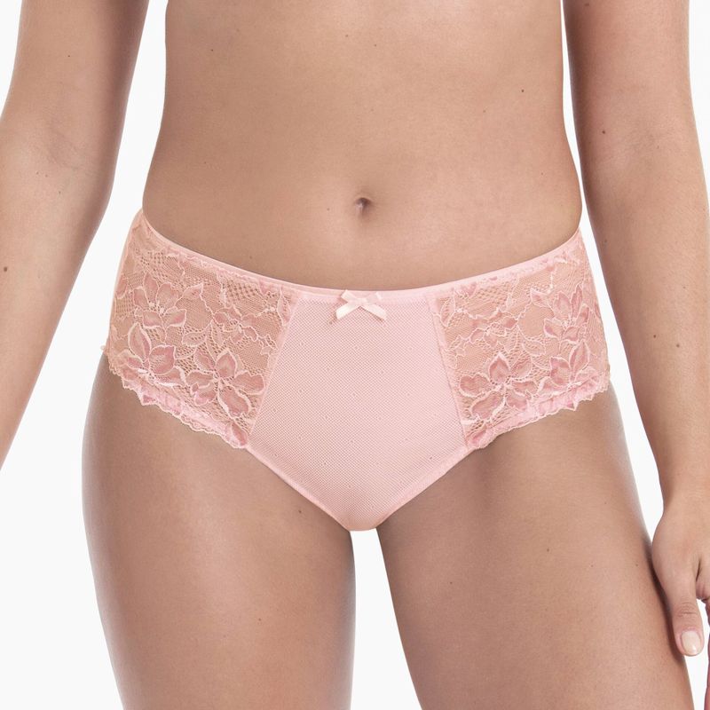 Rosa faia 1953 Suzette Wild Rose 128